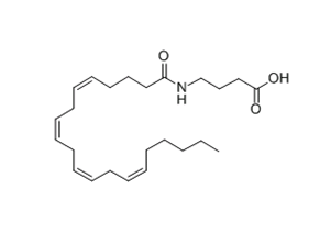 N-ArachidonylGABA;4-[[(5Z,8Z,11Z,14Z)-1-Oxo-5,8,11,14-eicosatetraenyl]aMino]butanoicacid